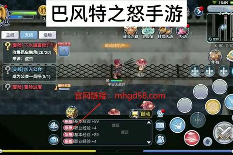仙境传说手游暴刺终极攻略加点装备选择与技能搭配技巧解析