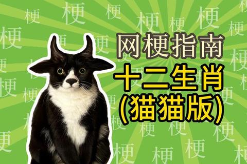 猫为什么不是十二生肖背后原因解析与民间传说溯源揭秘