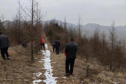 巡林客暴击多少及格暴击率不足痛点解析与提升技巧详解