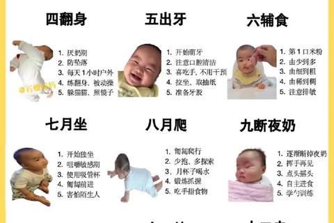 生命摇篮:新生儿养成挑战与家庭成长模拟计划 生命摇篮:新生儿养成挑战与家庭成长模拟计划