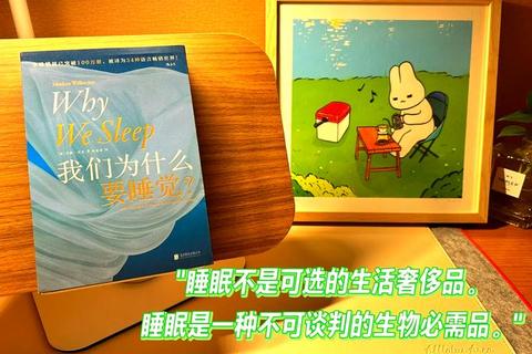 睡眠奇旅:解锁梦境世界的趣味挑战与放松秘诀