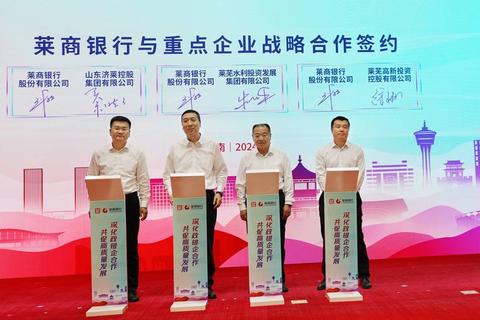 莱商银行手机银行下载指引：三步完成安装与登录操作