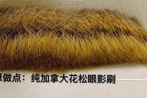 加拿大松鼠栖息地破碎化难题：三步重建生态走廊护种群