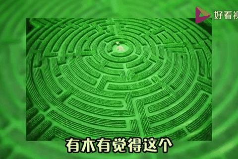 整蛊大作战_测测你的反套路智商有多高