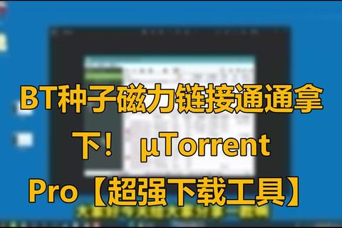 磁力种子下载神器推荐高速稳定支持多线程的BT资源极速获取工具 磁力种子下载神器推荐高速稳定支持多线程的BT资源极速获取工具