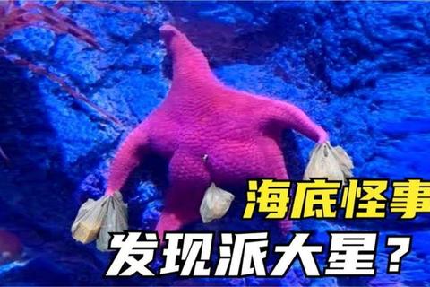 派大星奇幻海底冒险_趣味游戏挑战赛火热开启
