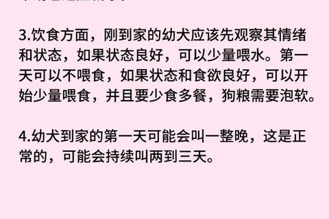 萌宠视频下载指南_超全狗狗合集资源免费获取技巧