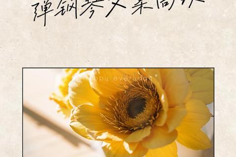 琴键幻想曲:游戏钢琴师的虚拟乐章冒险之旅 琴键幻想曲:游戏钢琴师的虚拟乐章冒险之旅