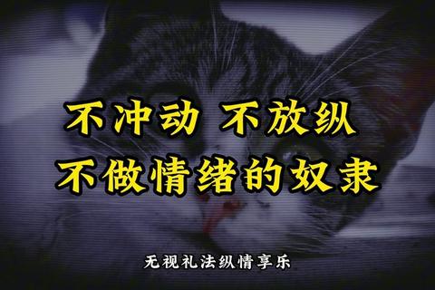 为什么我每天都不开心 三步破解情绪困局重拾生活掌控感