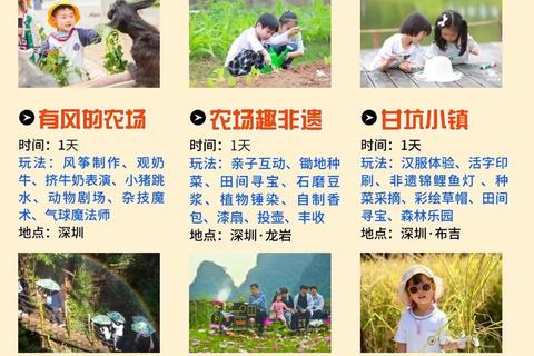 秋日乐游指南：趣味户外游戏与团队互动全攻略