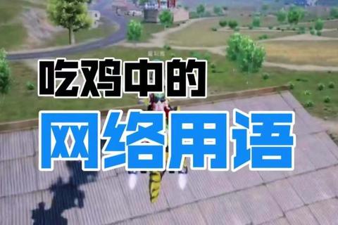 为什么叫吃鸡呢困扰新手玩家？一文解析游戏术语由来与交流技巧