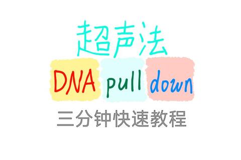 DNA2全流程攻略终极指南隐藏任务解锁与高效通关技巧解析