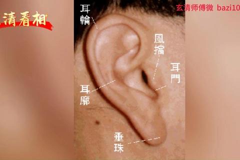 还在盲目寻找？揭秘什么耳朵有福气图片助你快速掌握福运特征