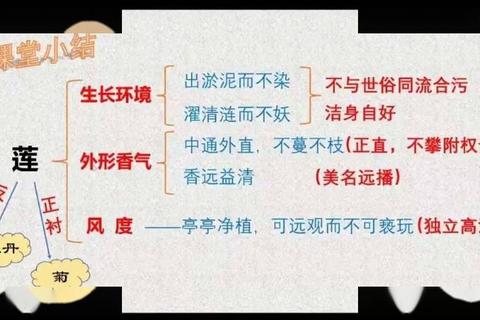 爱莲说第二十关隐藏路线解析与通关技巧详解