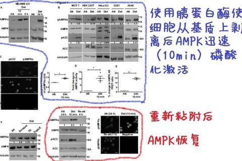 游戏公式构建法则：核心机制与数值平衡深度解析