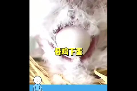 母鸡下蛋大挑战：蛋蛋农场奇趣争夺赛