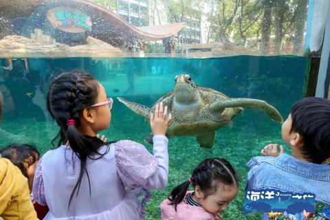 网小鱼:灵动海洋中的趣味追逐-亲子互动乐翻天 网小鱼:灵动海洋中的趣味追逐-亲子互动乐翻天