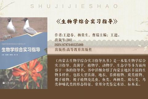 鸟类进化之路全阶段突破秘籍：从初级形态到终极飞升的实战技巧与资源分配指南