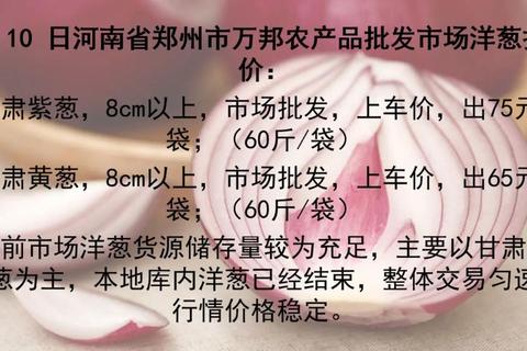 洋葱哪里有优质货源？解决采购难题的三大实用渠道推荐