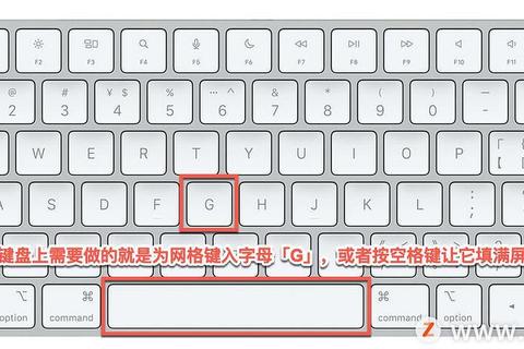 11平台安全高效下载安装教程与最新版本获取攻略