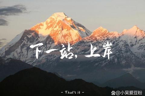 轻舟破浪：奇幻漂流中的策略冒险之旅