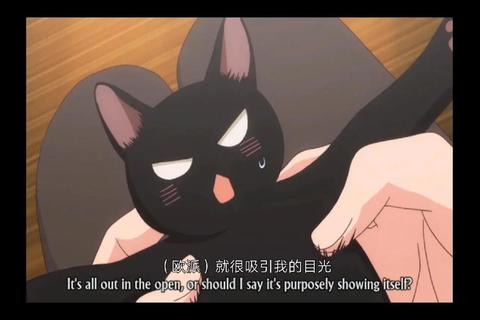 黑猫动漫下载_最新资源合集-高效获取与收藏指南