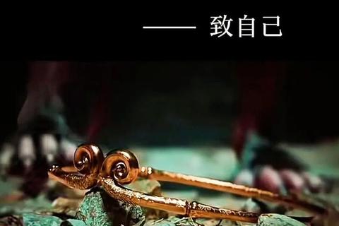 虚拟人生：自由构建你的第二世界与命运抉择