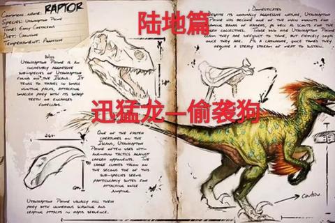 方舟强制驯服代码实战指南：生物快速驯服技巧与指令应用详解