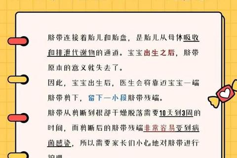 母婴模拟体验营：孕妈分娩挑战与新生儿护理指南