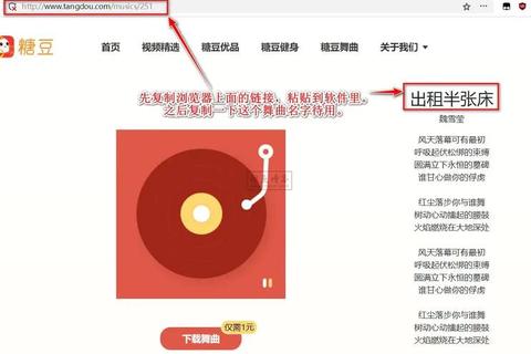 糖豆视频下载_高效技巧与全平台一键获取方法