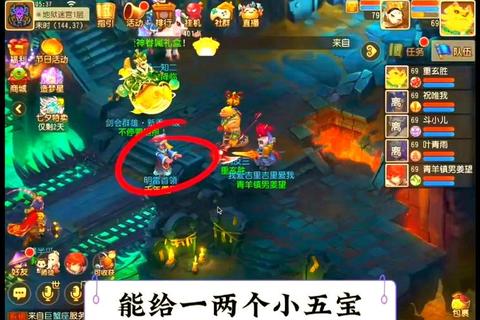 梦幻手游宝宝挂机技巧与稀有宝宝高效抓捕全攻略