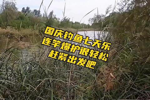 钓鱼大师爆护速成攻略：连竿技巧与高收益鱼种全解析