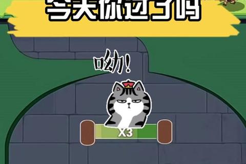 解压清消大作战：居家整理闯关挑战与畅快消除新体验