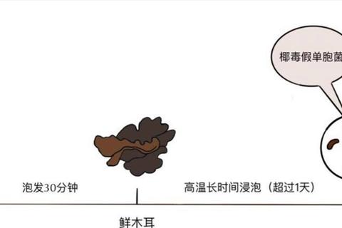 木耳泡多久就不能吃？正确泡发时间与保存方法全解析避免中毒风险