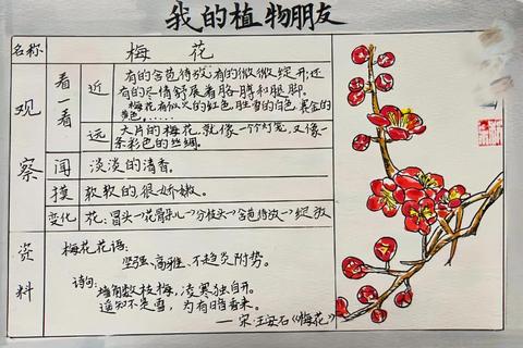 梅花一般生长在哪里？解决选址难题的三大科学技巧