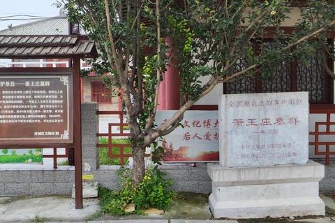 兄弟盗墓双人协作探墓全攻略：古墓机关破解与宝藏生存指南