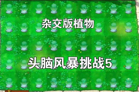 4849h趣味挑战：解密闯关小游戏开启脑力新风暴