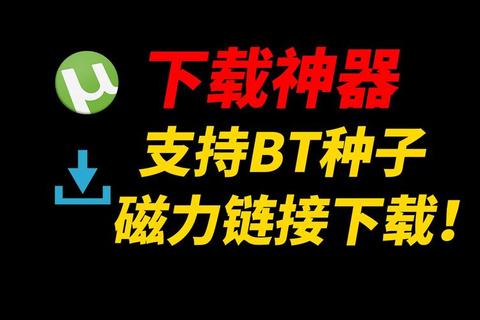 BT下载全攻略:高效资源获取与传输优化技巧解析
