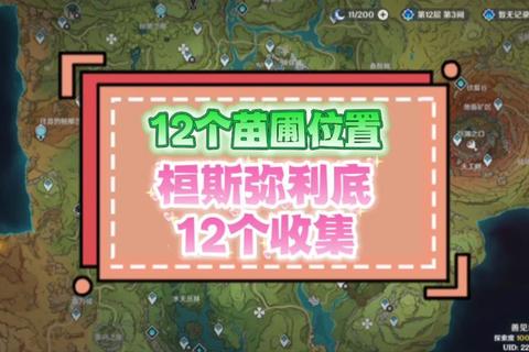 雨林地图哪里肥资源难寻成痛点高效搜刮路线助你快速致富