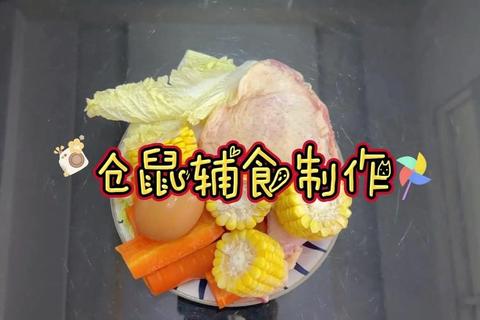 仓鼠爱吃什么却总挑食？科学配餐方案解决喂养难题