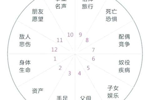 星座游戏大全:十二宫挑战+命运测试与趣味占星解析指南