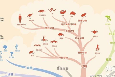 进化之路:生命树分支-基因突变与自然选择的无限可能 进化之路:生命树分支-基因突变与自然选择的无限可能