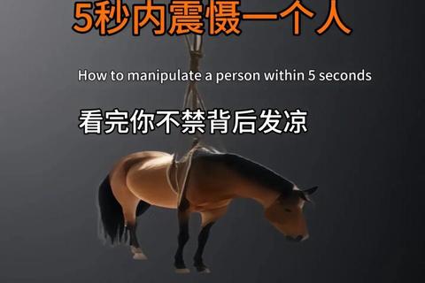 红黑牌战场_揭秘策略博弈与心理攻防的胜负玄机