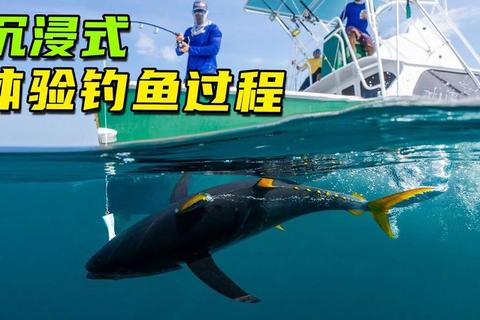 竿影悠然·碧波垂纶——沉浸式水域垂钓模拟体验