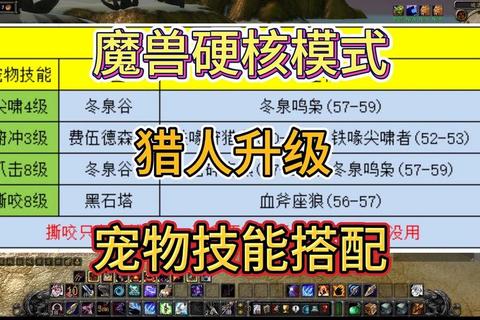 RO手游猎人高效输出与副本生存技巧深度解析