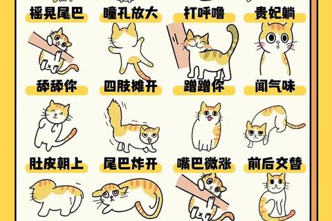 猫咪最爱游戏大揭秘:趣味互动与行为解析 猫咪最爱游戏大揭秘:趣味互动与行为解析