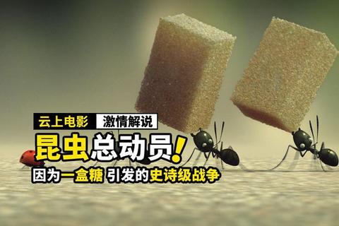 蚁群总动员：微小力量撼动世界大冒险