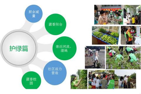 绿色生态城市建造者：探索可再生能源与零废弃社区的虚拟环保挑战