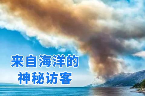 深海迷踪攻略全关卡通关技巧与隐藏任务解锁指南