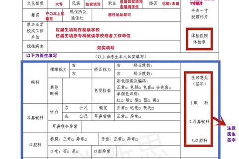 体检宝下载指南：详细步骤及安装方法全解析